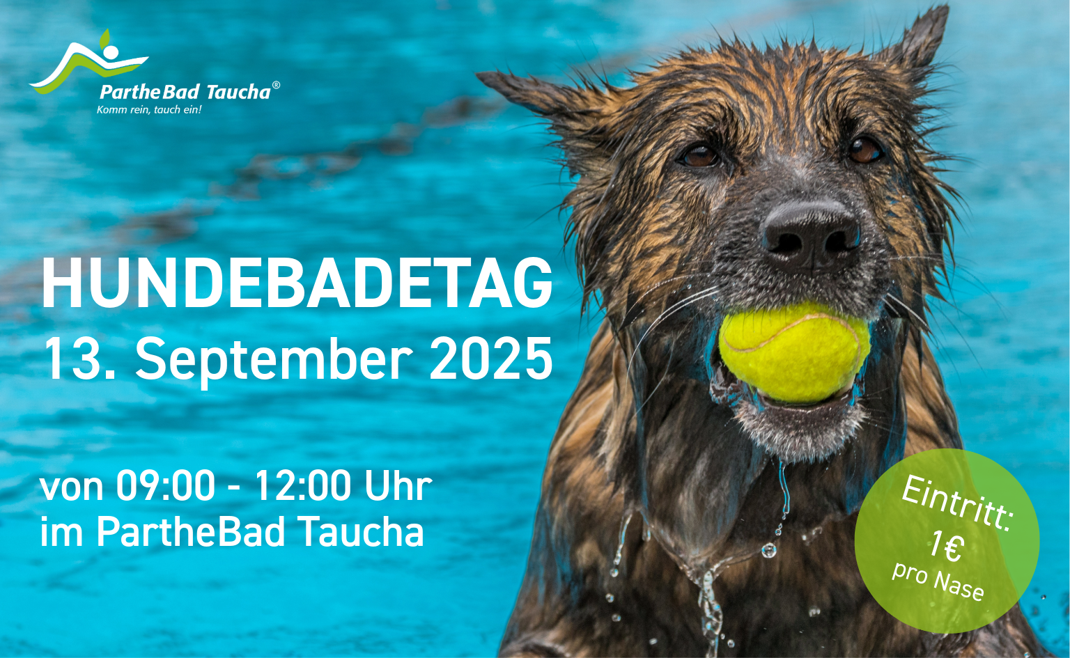 Bild 1. Hundebadtag im Parthebad Taucha